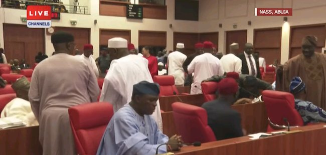 VIDEO: Commotion In Senate As Another Senator Makes Explosive Revelation On Budget Padding